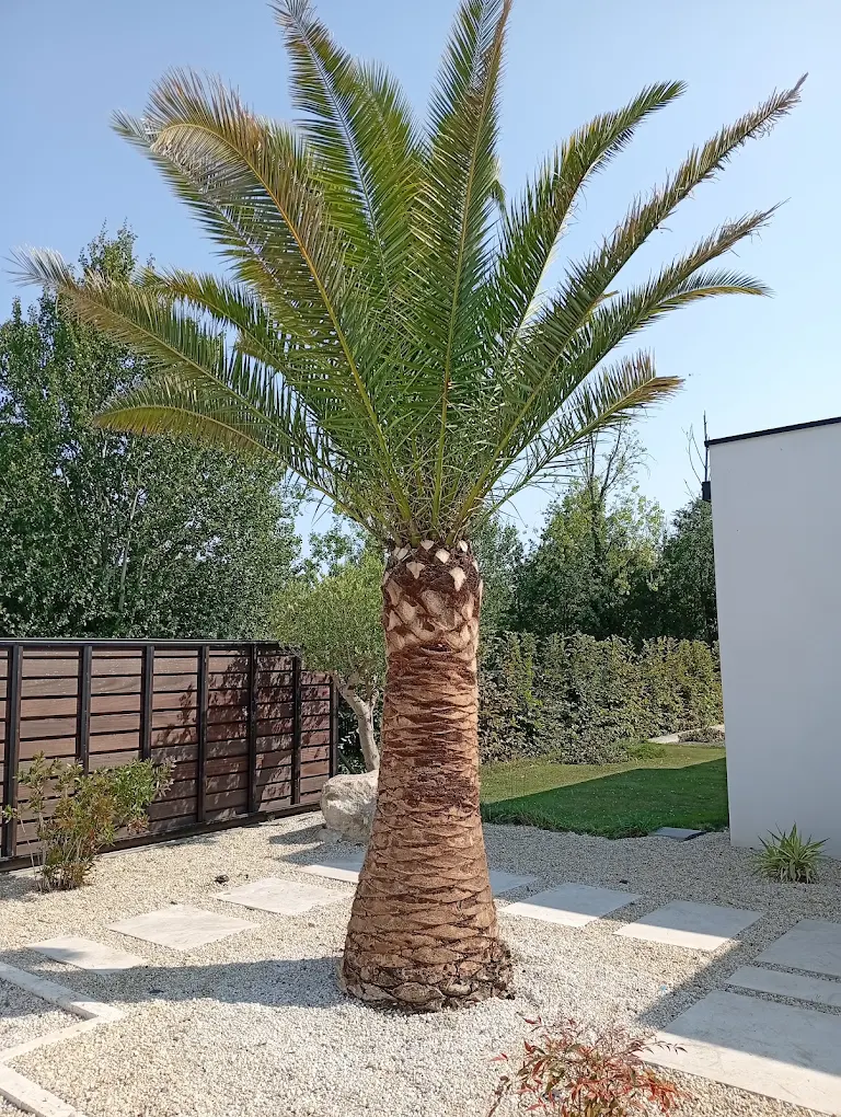 Réalisation Culture Jardin